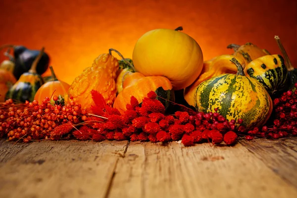 Tahta masadaki balkabakları