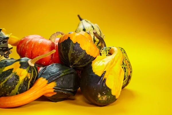 Otoño con calabaza estacional — Foto de Stock