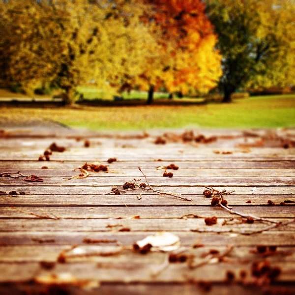 Деревянный осенний фон — стоковое фото