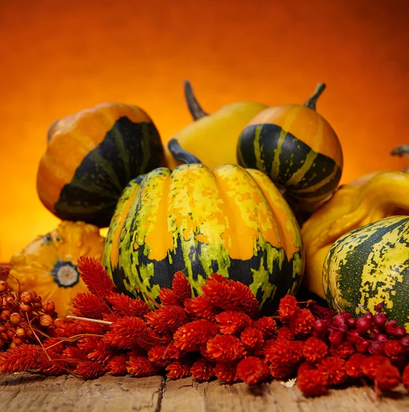 Decorative pumpkins on old wooden table — Stock Photo, Image