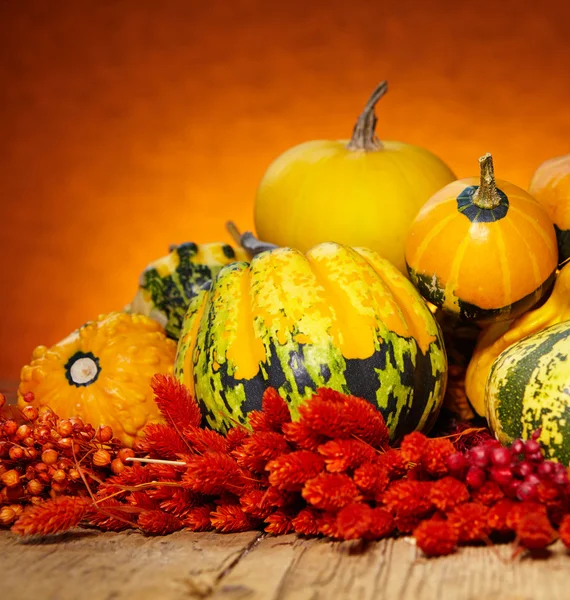 Calabazas decorativas sobre mesa de madera vieja — Foto de Stock