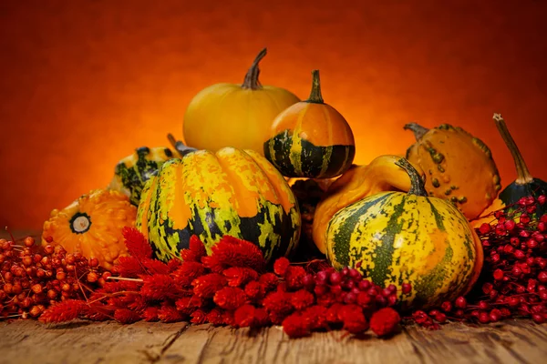 Pumpkins and squashes on wooden table — Stock Photo, Image