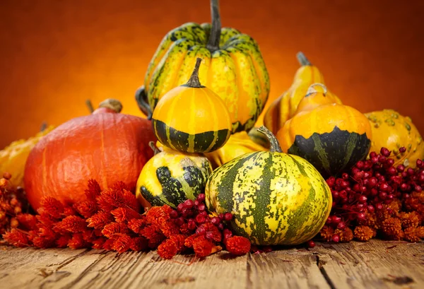 Pumpkins and squashes on wooden table — Stock Photo, Image