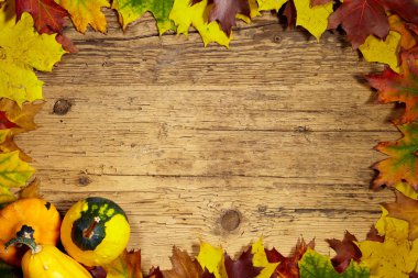 sonbahar sonbahar arka plan