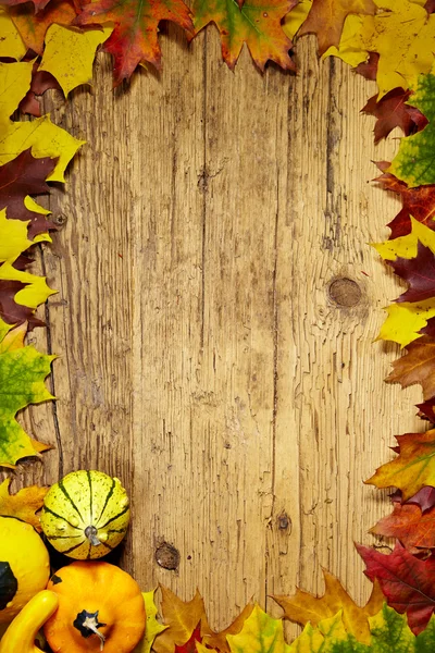 Podzim podzim pozadí — Stock fotografie