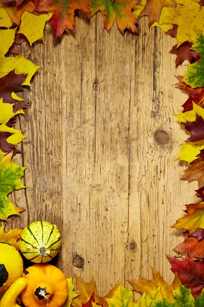 Fall background Stock Photos, Royalty Free Fall background Images ...