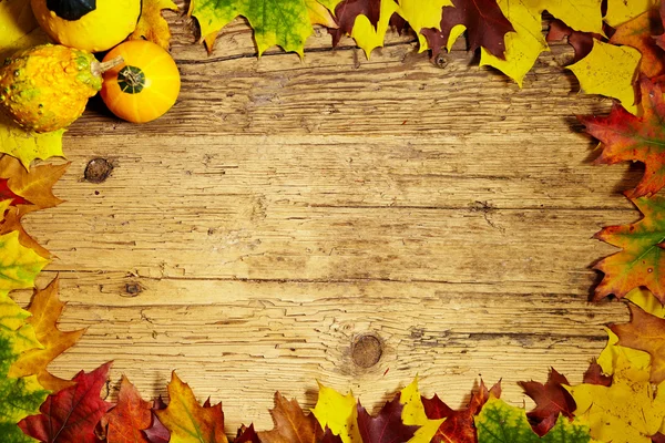 Autumn Fall background — Stock Photo, Image