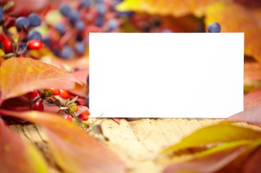 Sonbahar yaprakları arasında boş kartı