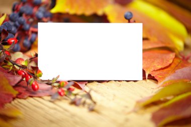 Sonbahar yaprakları arasında boş kartı