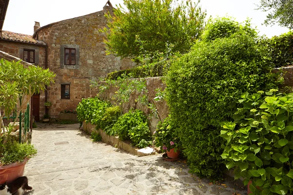 Taş Ortaçağ tarihi kent sokakta