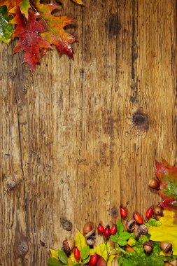 Ahşap arka planda sonbahar yaprakları