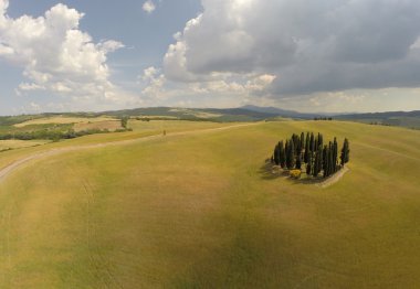 Tuscany selvi gökyüzü görünümü