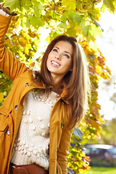 Elegant woman in a park in autumn — Stock Photo, Image