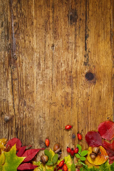 Herbstblätter über hölzernem Hintergrund — Stockfoto