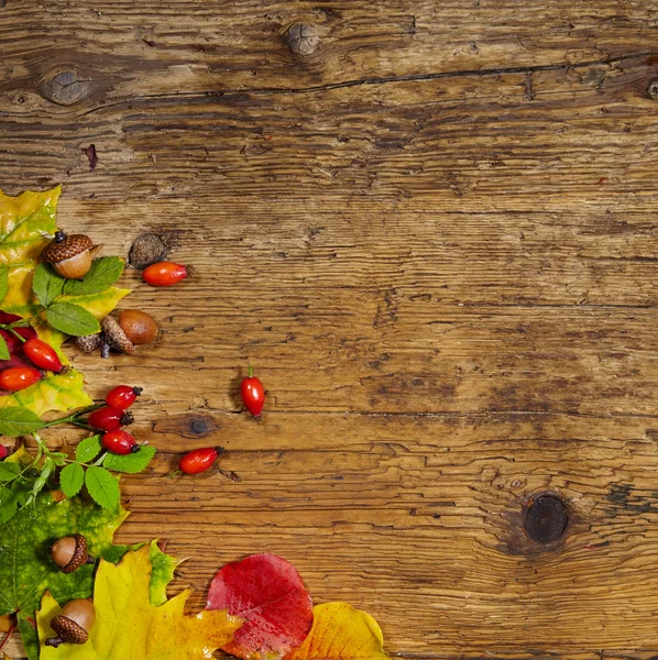 Herbstblätter über hölzernem Hintergrund — Stockfoto