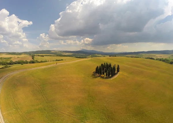 Ciprestes da Toscana a partir da vista do céu — Fotografia de Stock