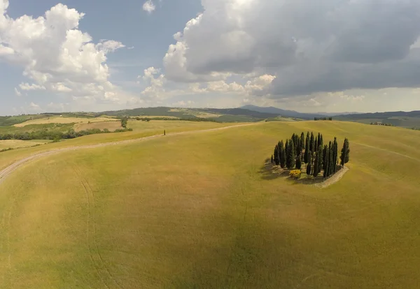 Ciprestes da Toscana a partir da vista do céu — Fotografia de Stock