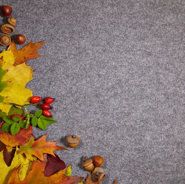 Autumn abstract grey background — Stock Photo, Image