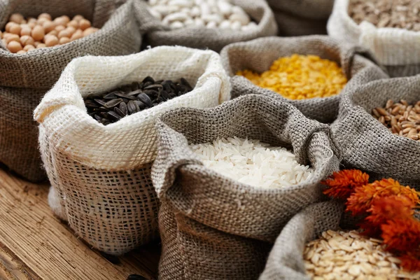 Corn and grains in bags — Stock Photo, Image