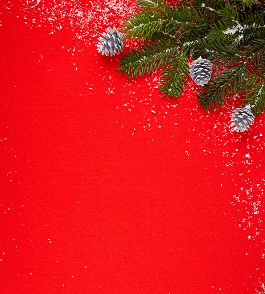 Fundo vermelho com presentes e árvore de Natal — Fotografia de Stock