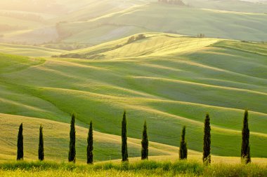 Manzara Tuscany bölgesi