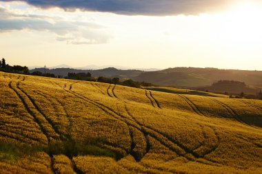 İtalya Tuscan manzara
