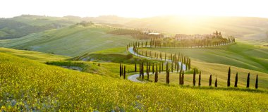 Landscape of Tuscany region clipart