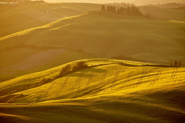 Alba d'oro nella valle — Foto Stock