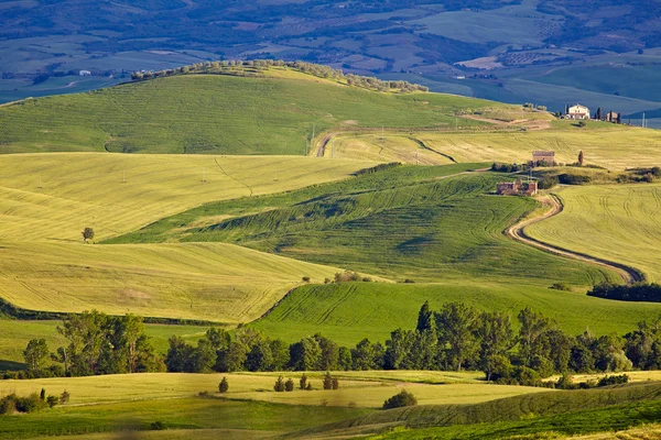 Den vackra gröna landsbygden — Stockfoto