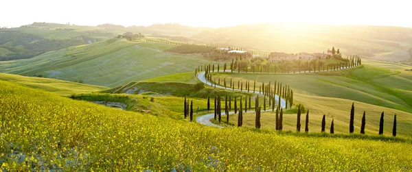 Landskapet i regionen Toscana — Stockfoto