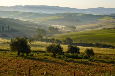 Tuscany tepeler. Güzel manzara