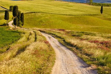 kırsal, san quirico d'orcia