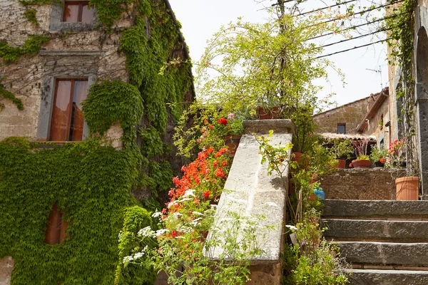 Blommor kantar en medeltida stenmur — Stockfoto