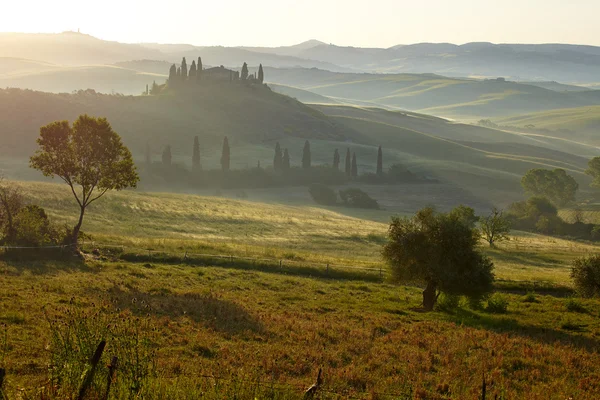 Тосканские холмы. Красивый пейзаж — стоковое фото