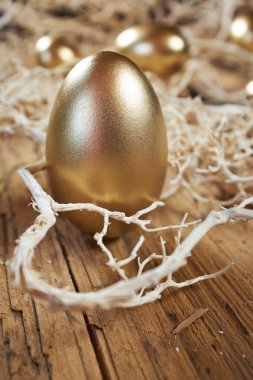 Altın yumurta yuva kara günü