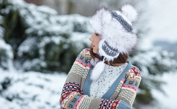 Ung kvinde vinter portræt - Stock-foto