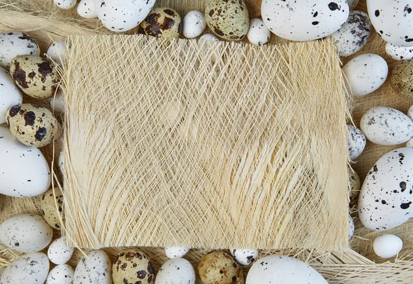 Latar belakang telur Paskah — Stok Foto