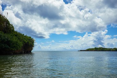 Güneşli bir gün kumsalda rüya