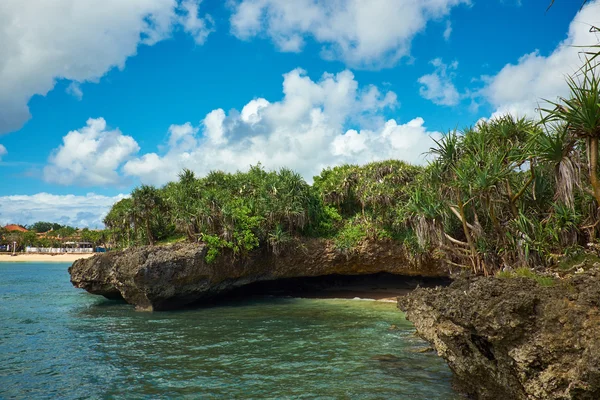 Güneşli bir gün kumsalda rüya