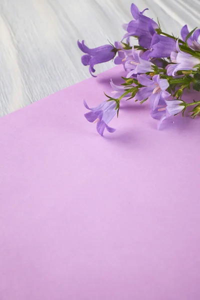 Початок весняних фіолетових квітів — стокове фото