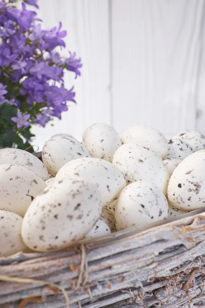 Telur Paskah dalam keranjang — Stok Foto