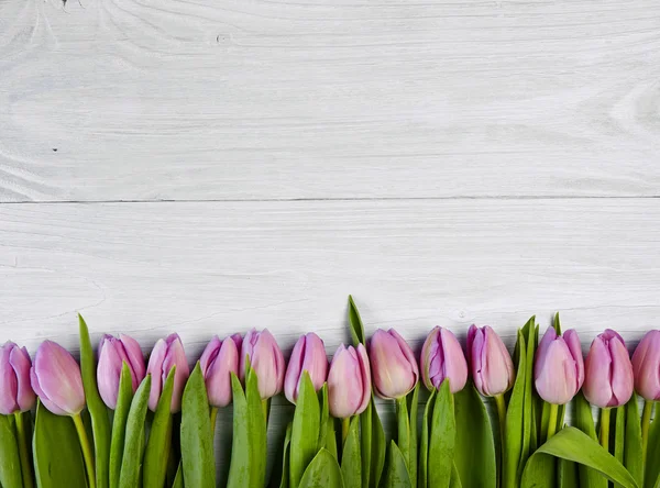 Pink tulips on white wooden background — Stock Photo, Image