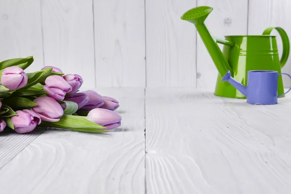 Rózsaszín tulipán zöld locsolókanna — Stock Fotó