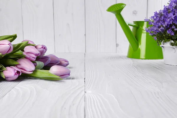 Rosa Tulpen mit grüner Gießkanne — Stockfoto