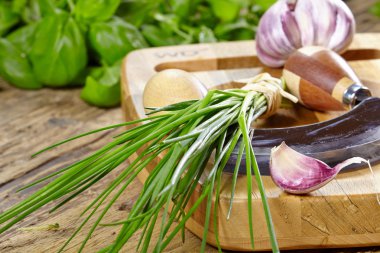 Kesme tahtası üzerinde doğranmış otlar