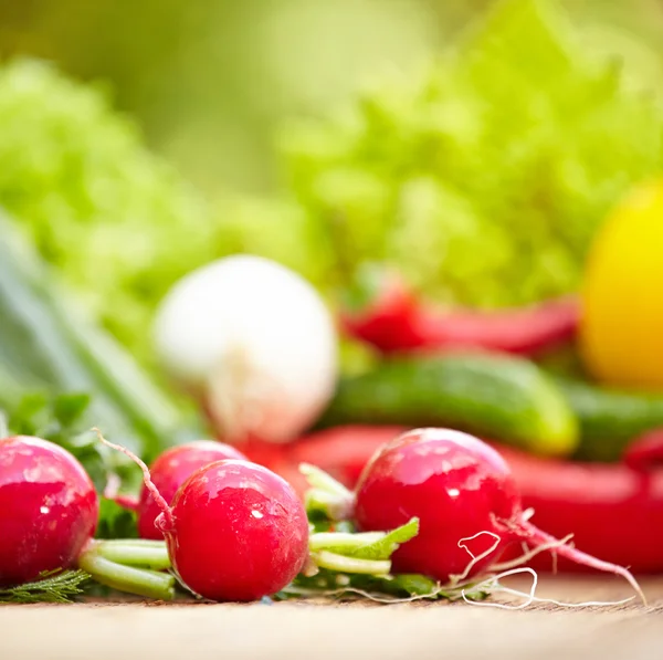 Produtos hortícolas e frutas orgânicos frescos — Fotografia de Stock
