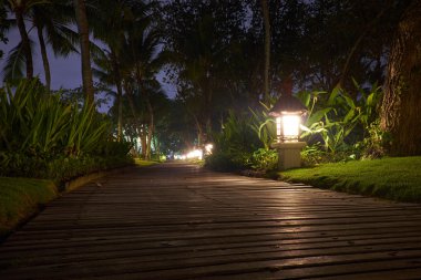 Ahşap yolu bir tropikal tatil