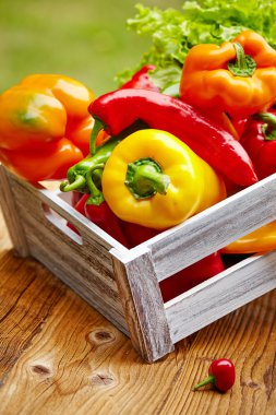 mezarda renkli biber