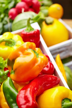 mezarda renkli biber