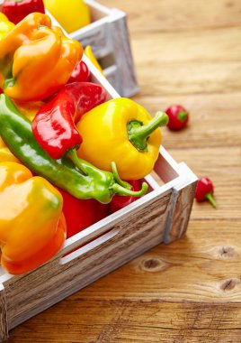 mezarda renkli biber